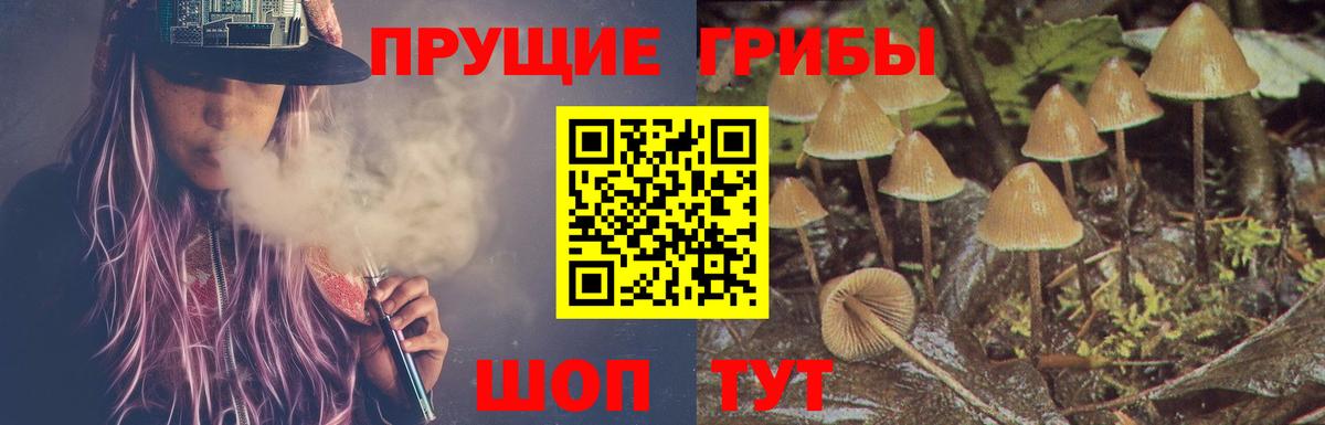 Белогорск  Галлюциногенные грибы Cubensis  Вход с VPN 